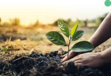 “Mọi việc đều có lý do riêng”